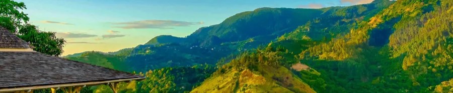 Karibische Kunst in Berlin